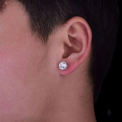 Puces d'Oreilles Rondes Glacées